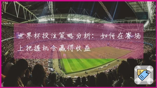 世界杯投注策略分析：如何在赛场上把握机会赢得收益