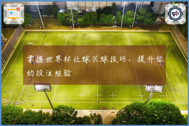掌握世界杯让球买球技巧，提升你的投注经验