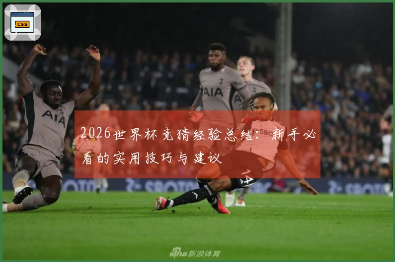 2026世界杯竞猜经验总结：新手必看的实用技巧与建议