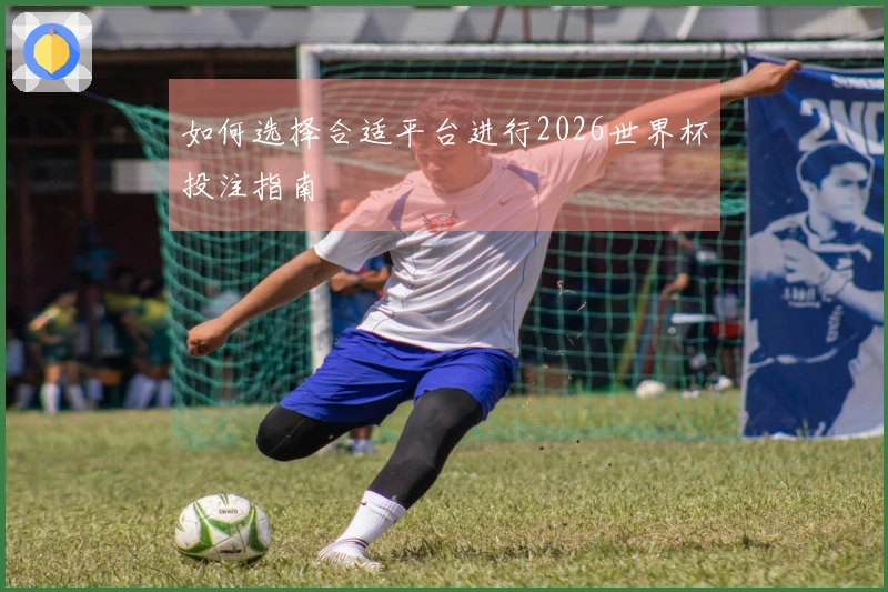 如何选择合适平台进行2026世界杯投注指南