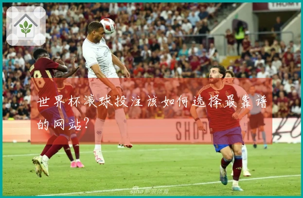 世界杯滚球投注该如何选择最靠谱的网站？
