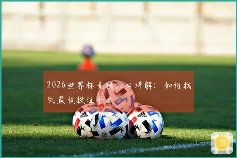 2026世界杯竞猜入口详解：如何找到最佳投注平台