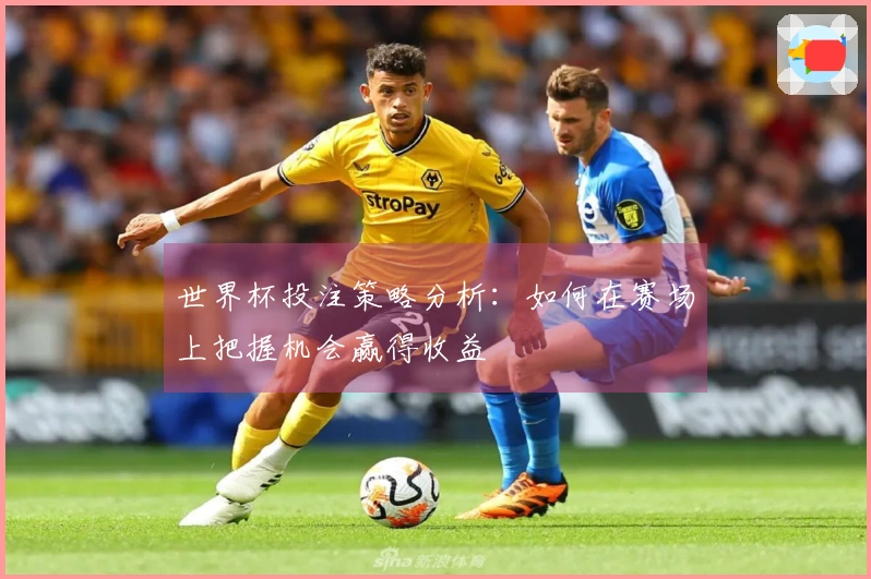 世界杯投注策略分析：如何在赛场上把握机会赢得收益