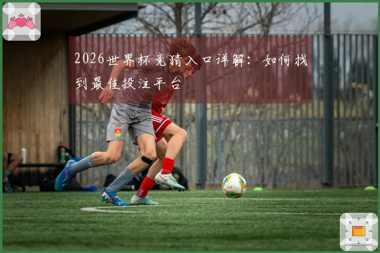2026世界杯竞猜入口详解：如何找到最佳投注平台