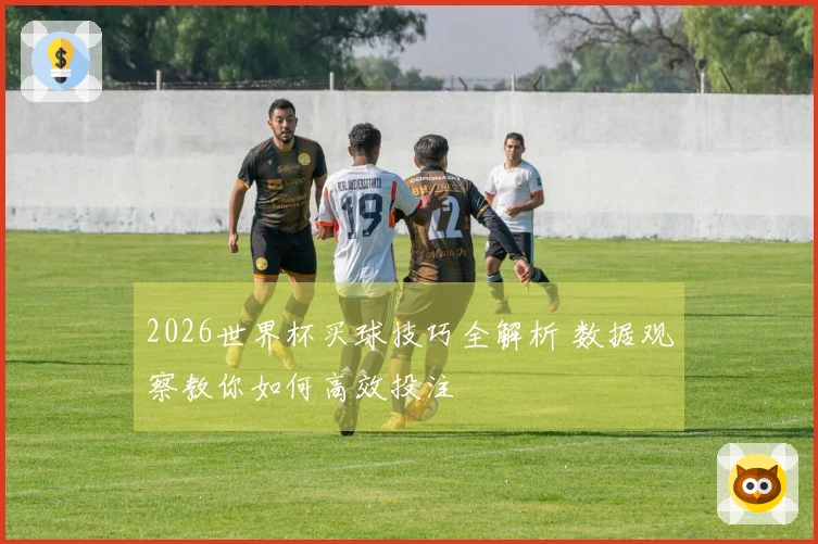 2026世界杯买球技巧全解析 数据观察教你如何高效投注